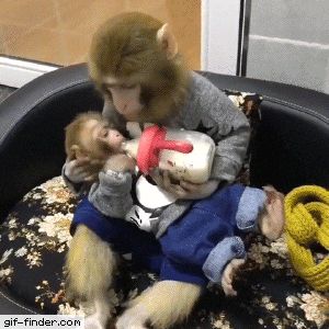 Bebe Mono Tomando Leche