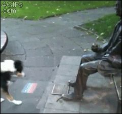 Perro Jugando Con Estatua