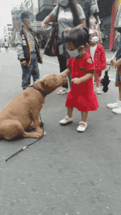 Dog And Girl Loving Each Other