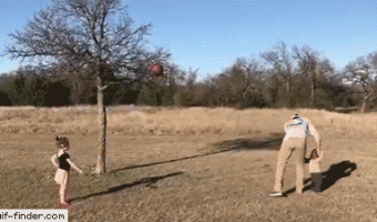 Salvando La Pelota