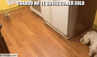 Cuando No Te Gusta Comer Solo