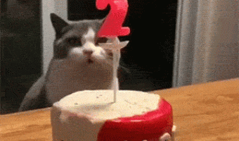 Gato Apagando Vela De Cumpleaños